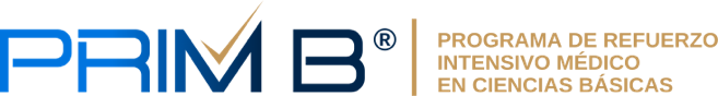 PRIM B